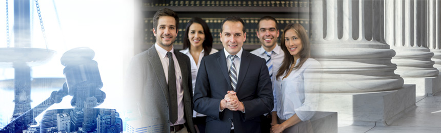 Lawyers and Legal Professionals